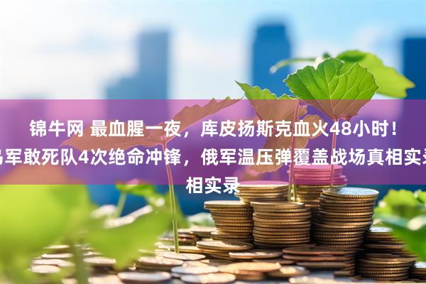 锦牛网 最血腥一夜，库皮扬斯克血火48小时！乌军敢死队4次绝命冲锋，俄军温压弹覆盖战场真相实录