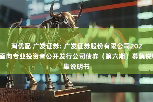淘优配 广发证券: 广发证券股份有限公司2025年面向专业投资者公开发行公司债券（第六期）募集说明书