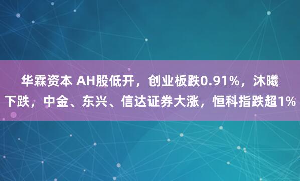 华霖资本 AH股低开，创业板跌0.91%，沐曦下跌，中金、东兴、信达证券大涨，恒科指跌超1%