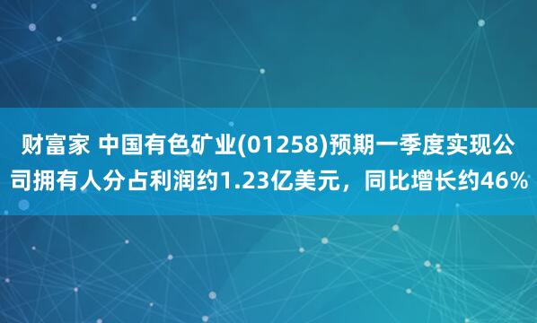 财富家 中国有色矿业(01258)预期一季度实现公司拥有人分占利润约1.23亿美元，同比增长约46%