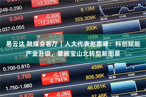 易云达 融媒会客厅｜人大代表赵嘉峰：科创赋能产业升级，擘画宝山北转型新图景