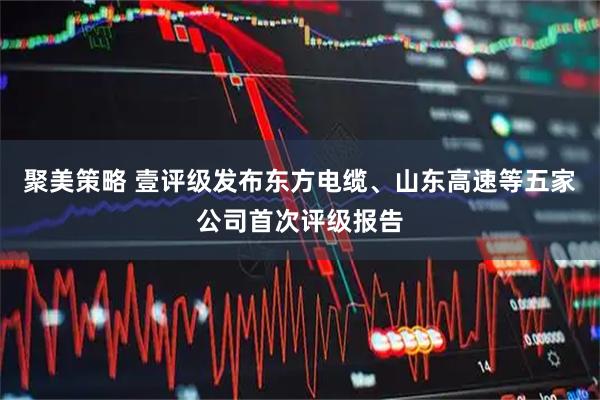 聚美策略 壹评级发布东方电缆、山东高速等五家公司首次评级报告